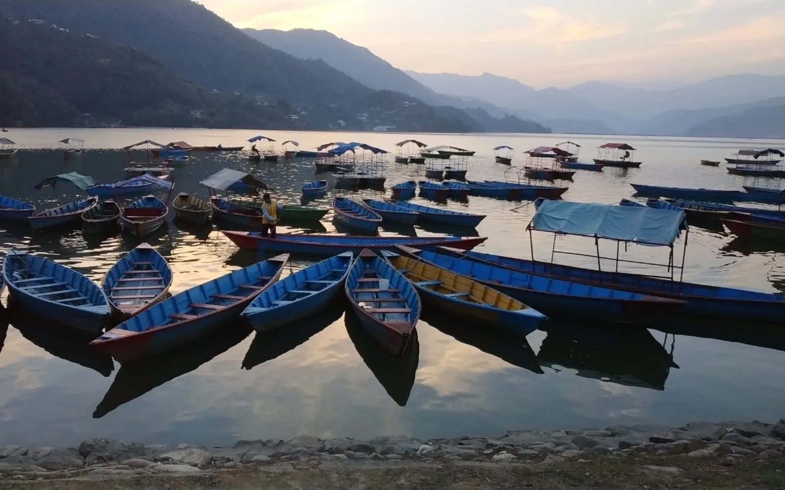 Rows of painted wooden boats moored on Phewa Lake with forested hills behind