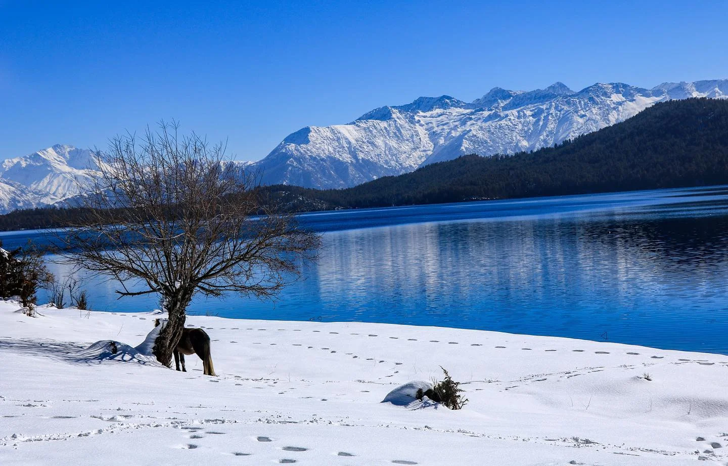 Rara Lake — Rara, Nepal
