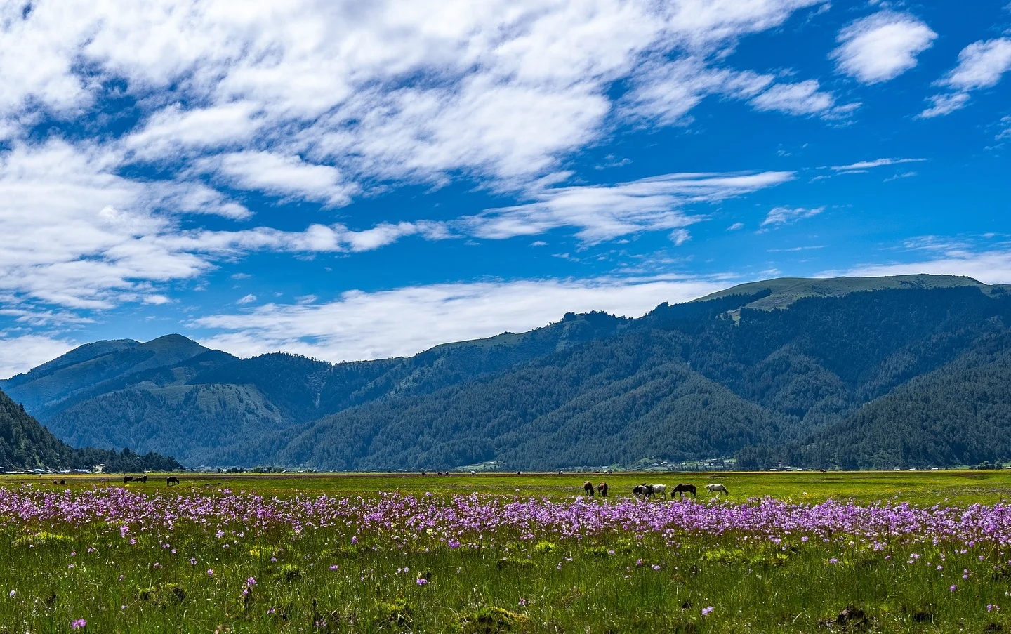 Baglung — the Dhaulagiri region, Nepal