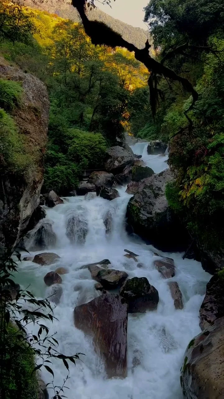 Taplejung District