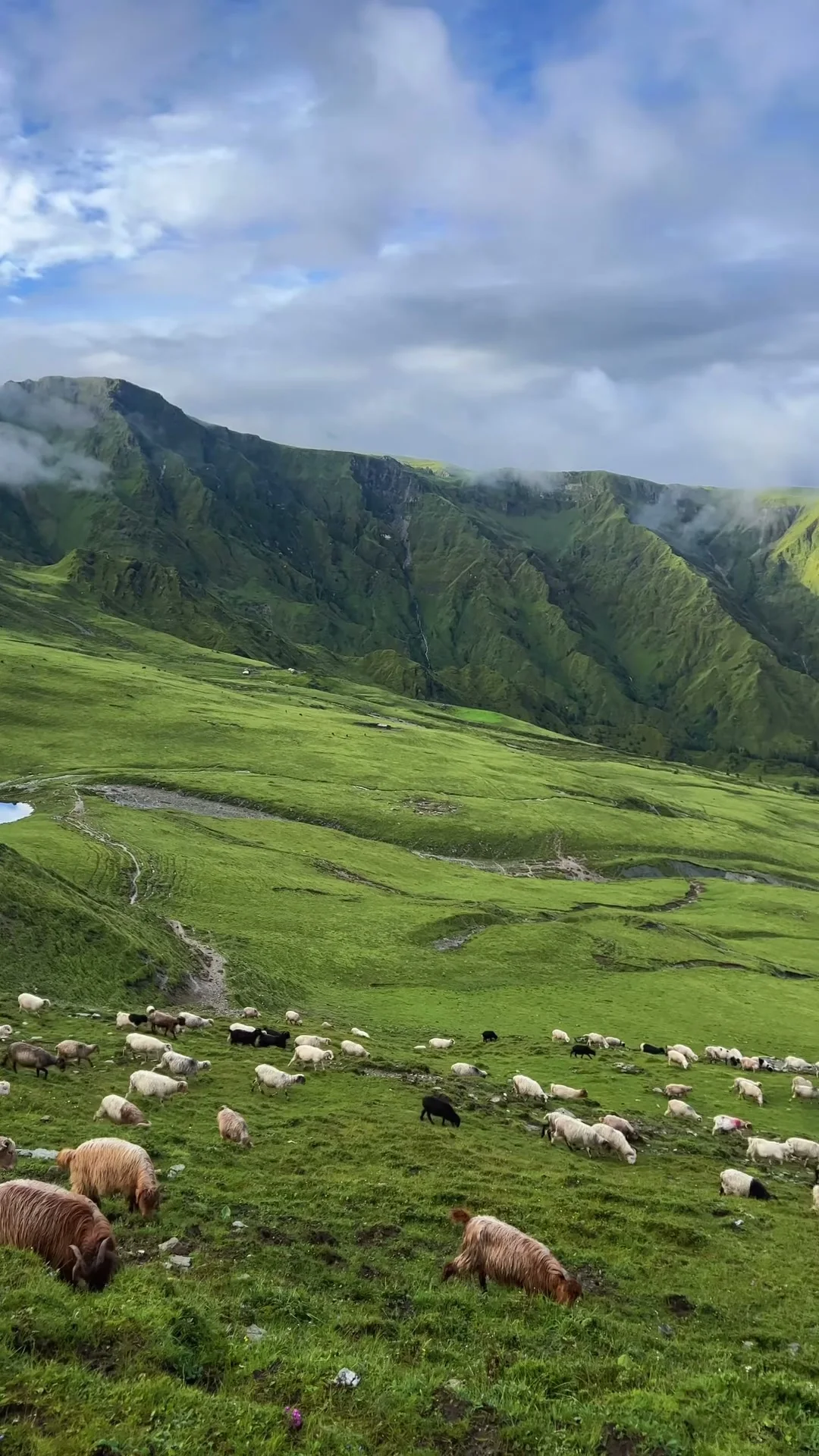 Dhorpatan Hunting Reserve IV