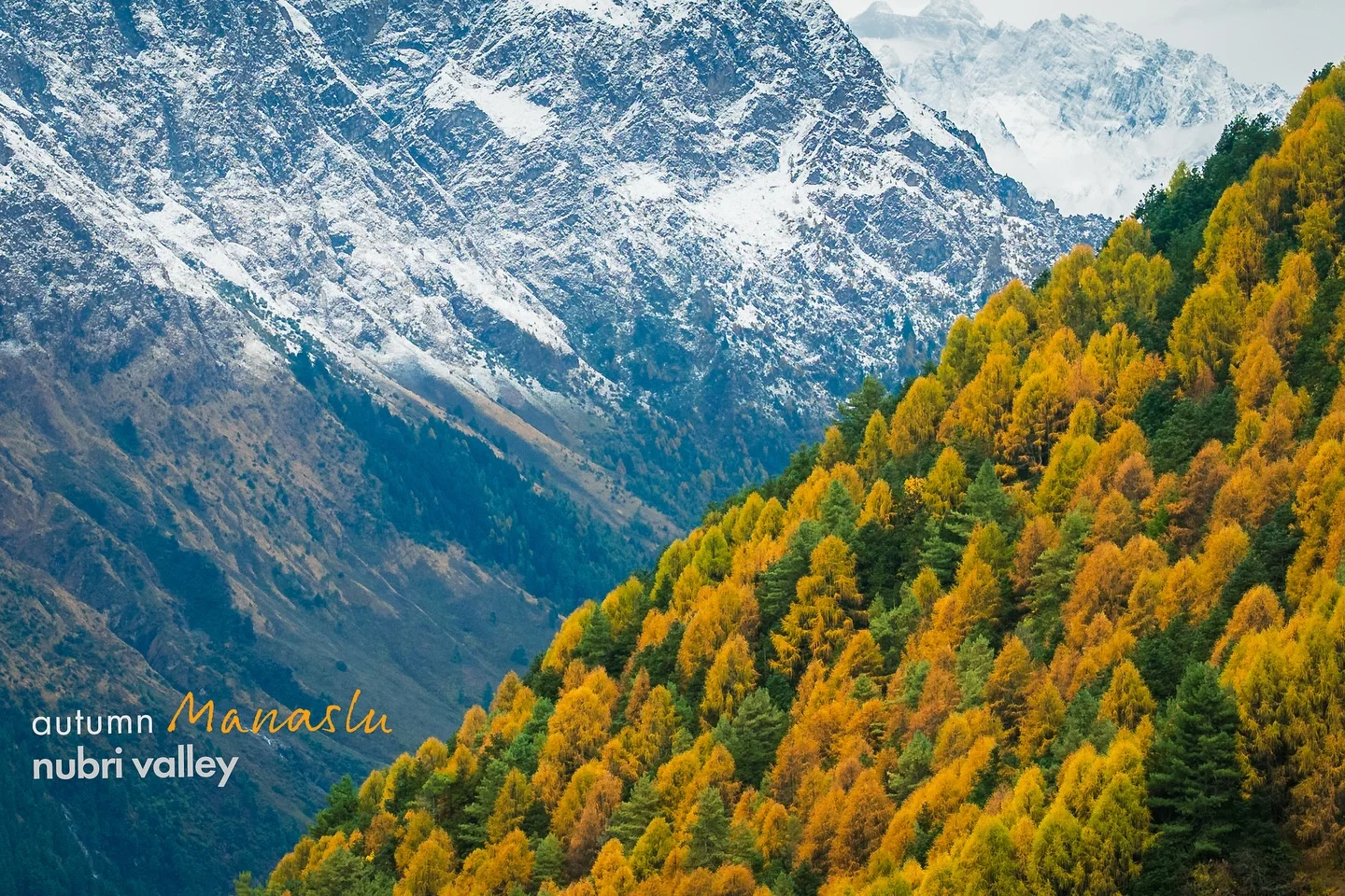 the Manaslu Circuit — the Manaslu Circuit, Nepal