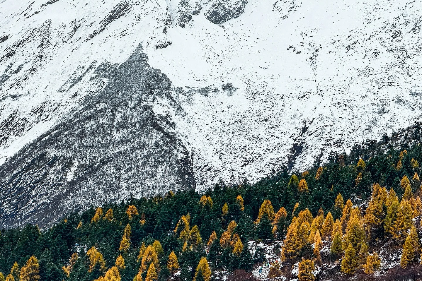 the Manaslu Circuit — the Manaslu Circuit, Nepal