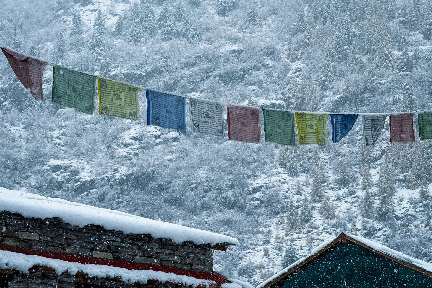 the Manaslu Circuit — the Manaslu Circuit, Nepal
