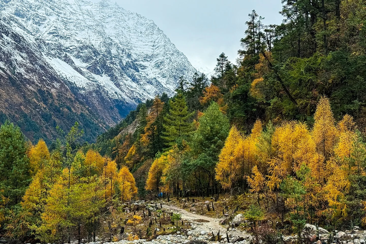 the Manaslu Circuit — the Manaslu Circuit, Nepal