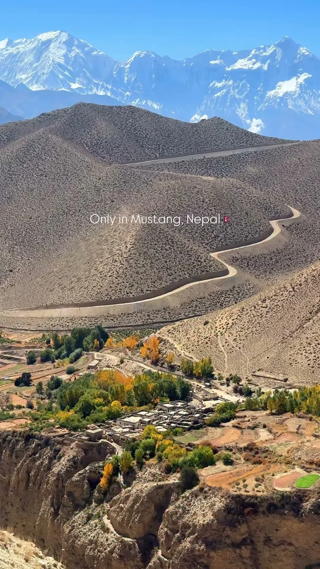 Upper Mustang reel
