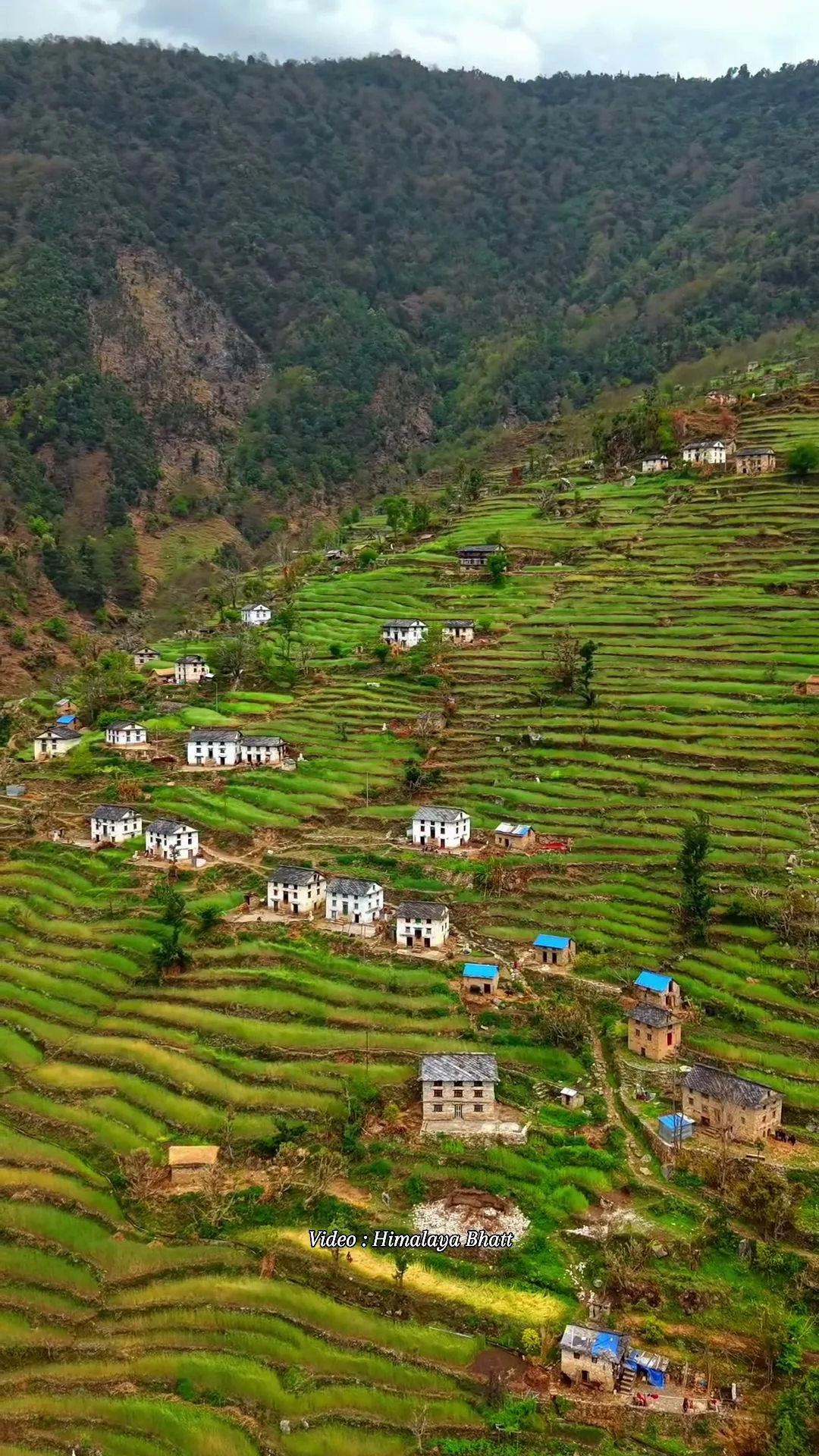Khaptad reel