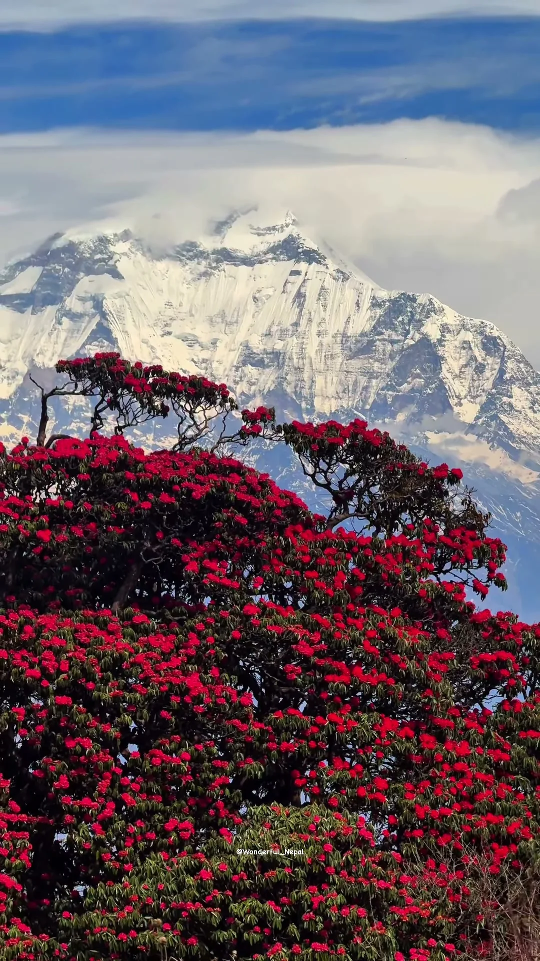 Ghorepani, Poonhill