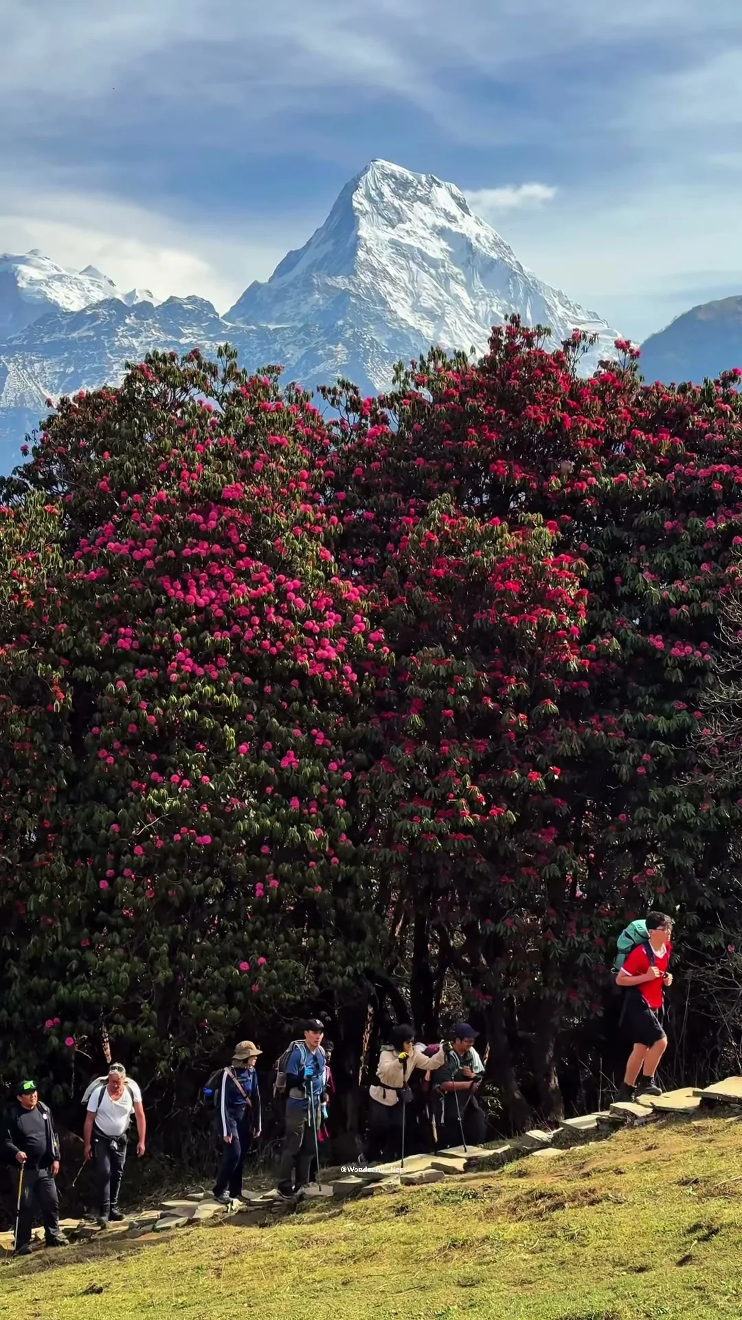 Ghorepani, Poonhill II