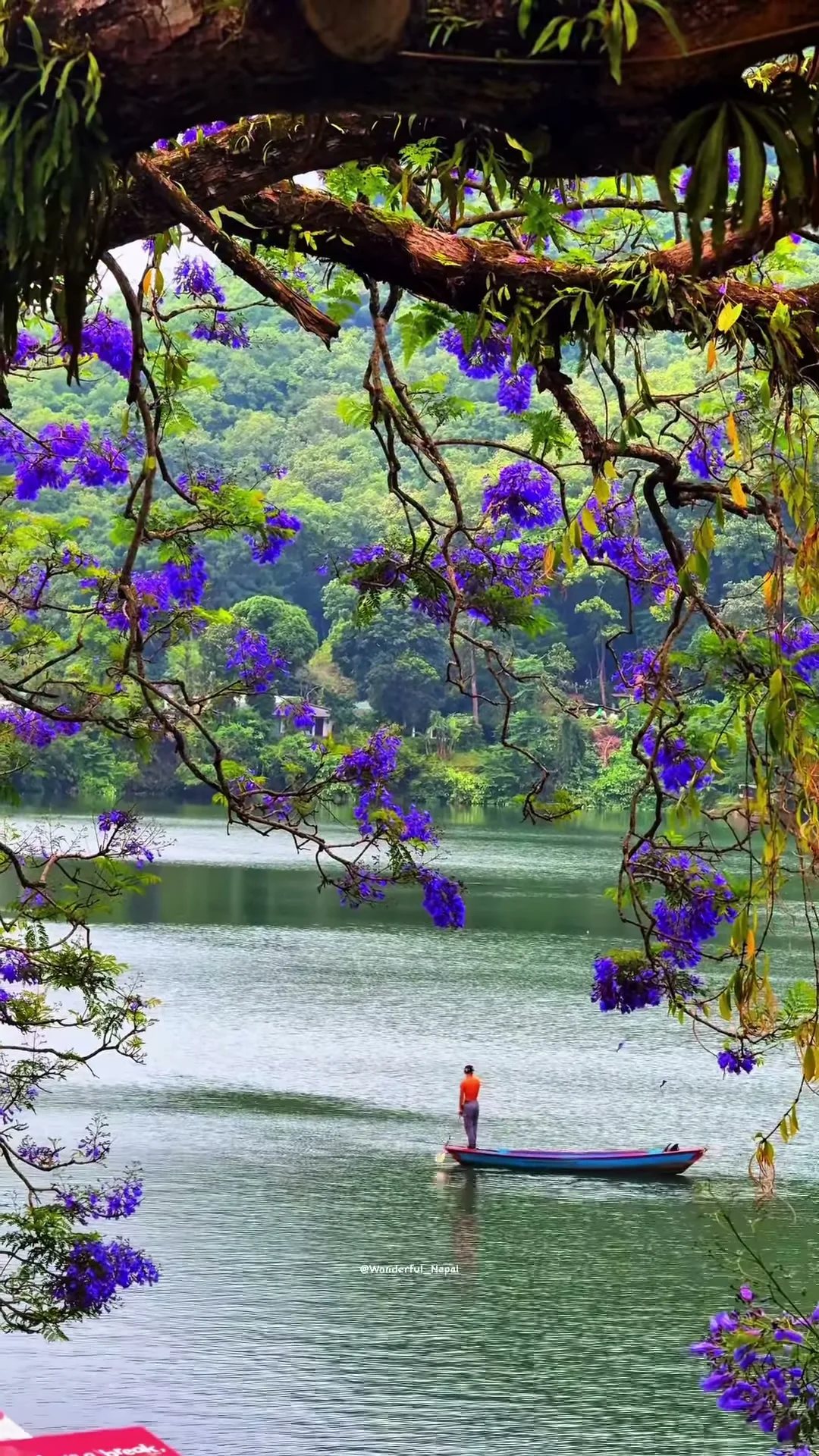 Pokhara in spring