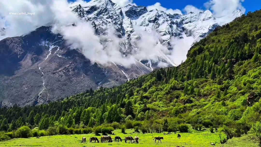 Manaslu trekking