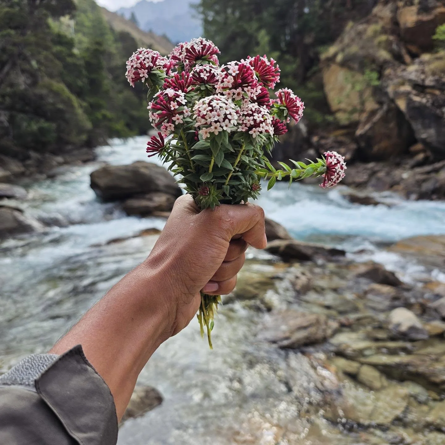 High trail in Shey Phoksundo National Park