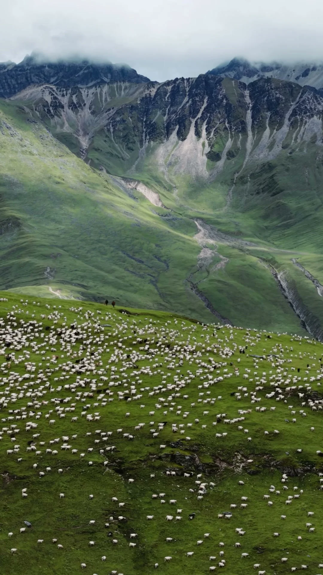 Dhorpatan Hunting Reserve