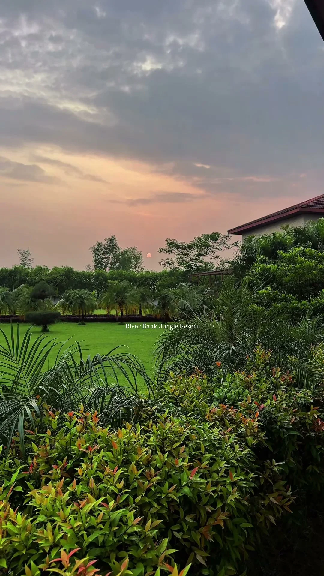 River Bank Jungle Resort, Chitwan