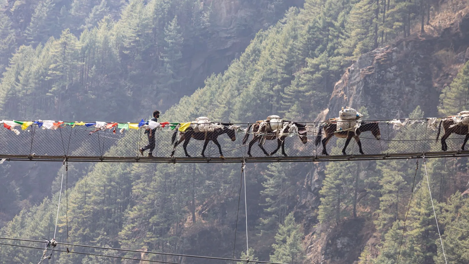 File photo: a suspension bridge on the Annapurna Base Camp trekking trail in Nepal — a context image of the kind of crossing damaged in the July 2026 Modi River floods, not the Ghurjung bridge itself