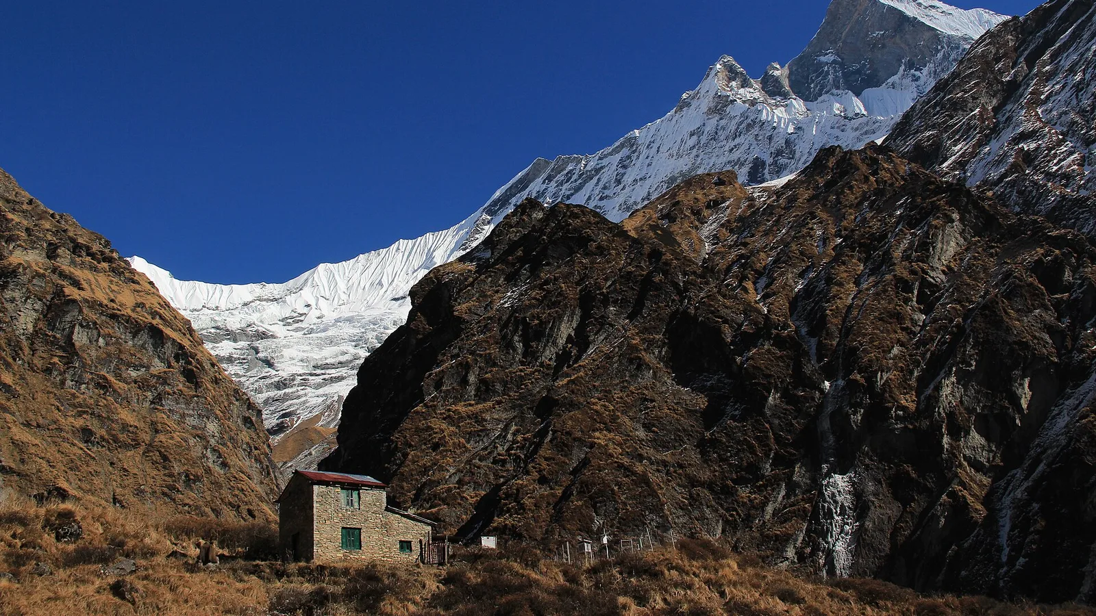 The Annapurna Base Camp amphitheatre (4,130 m), ringed by Annapurna I, Annapurna South and Machhapuchhre in the Annapurna region of Nepal — the country’s most popular teahouse trek and its best-value big-name route