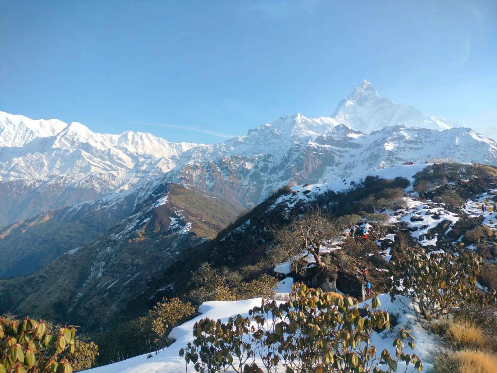 Which Trek Should a Beginner Do in Nepal? The Honest Difficulty Ladder for 2026