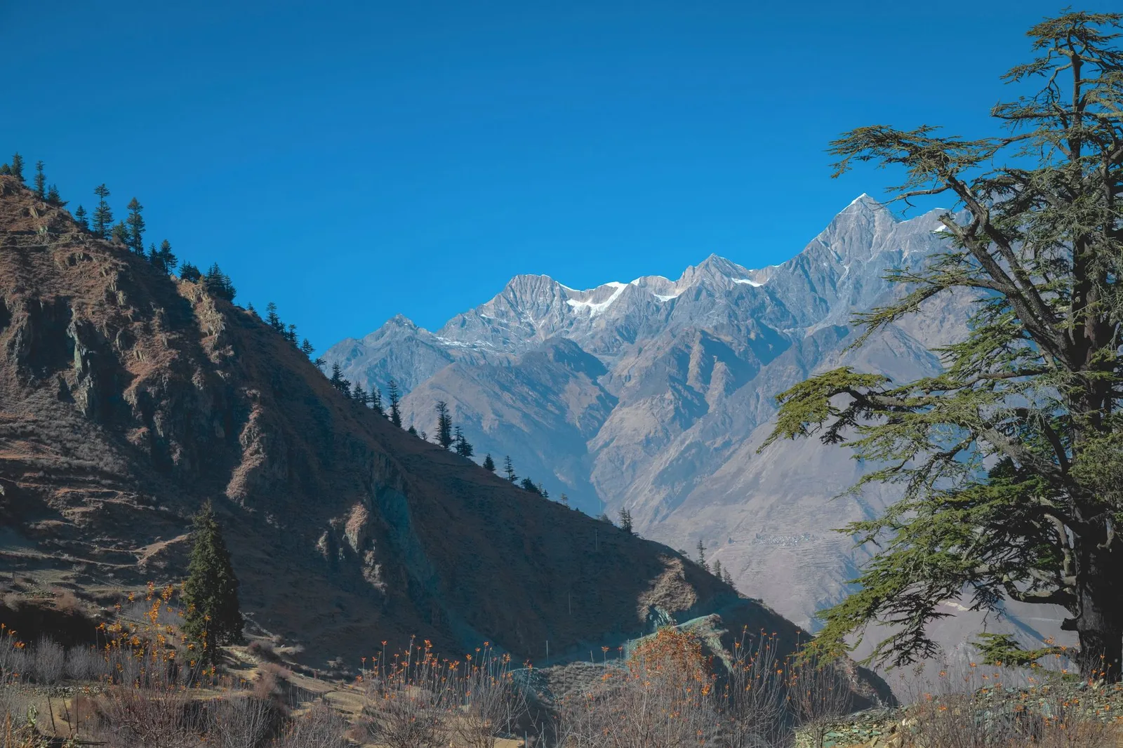 When Is the Best Time to Trek in Nepal? The Real Month-by-Month Data for 2026