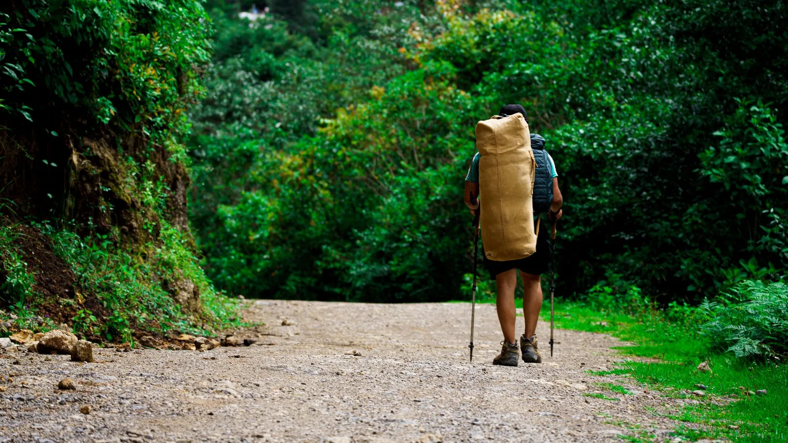 Can You Trek to Everest Base Camp at 82? What the Record and the Research Actually Say
