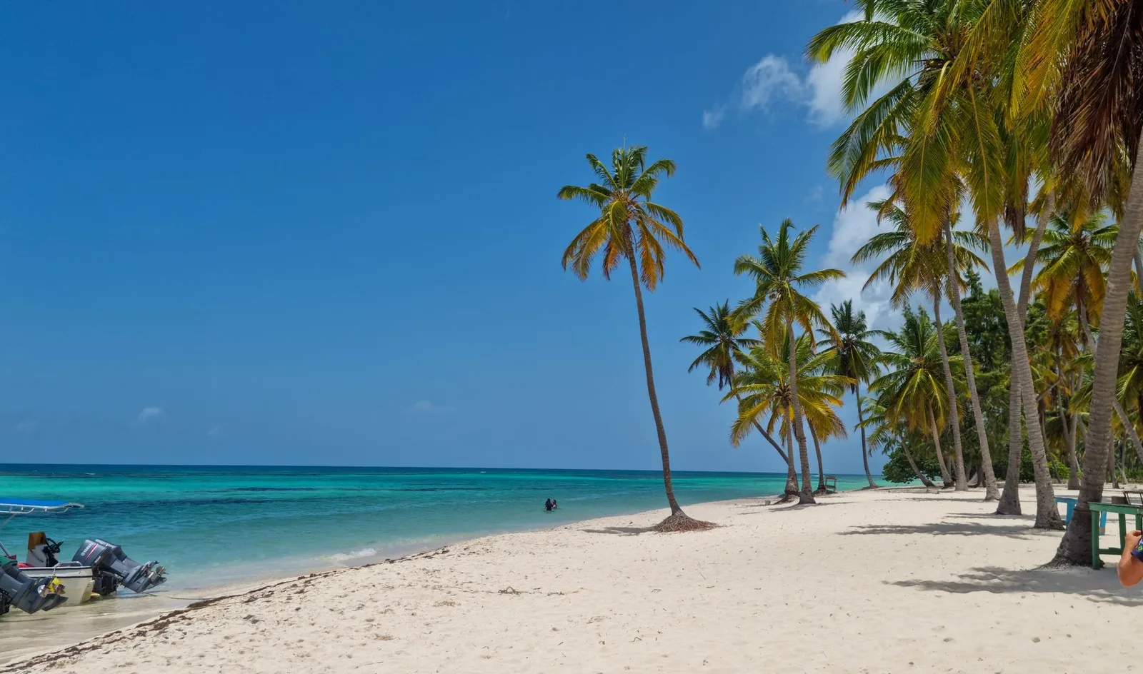 A palm-fringed tropical beach with soft white sand and clear turquoise water — the kind of low-cost coastline where a beach holiday budget stretches furthest