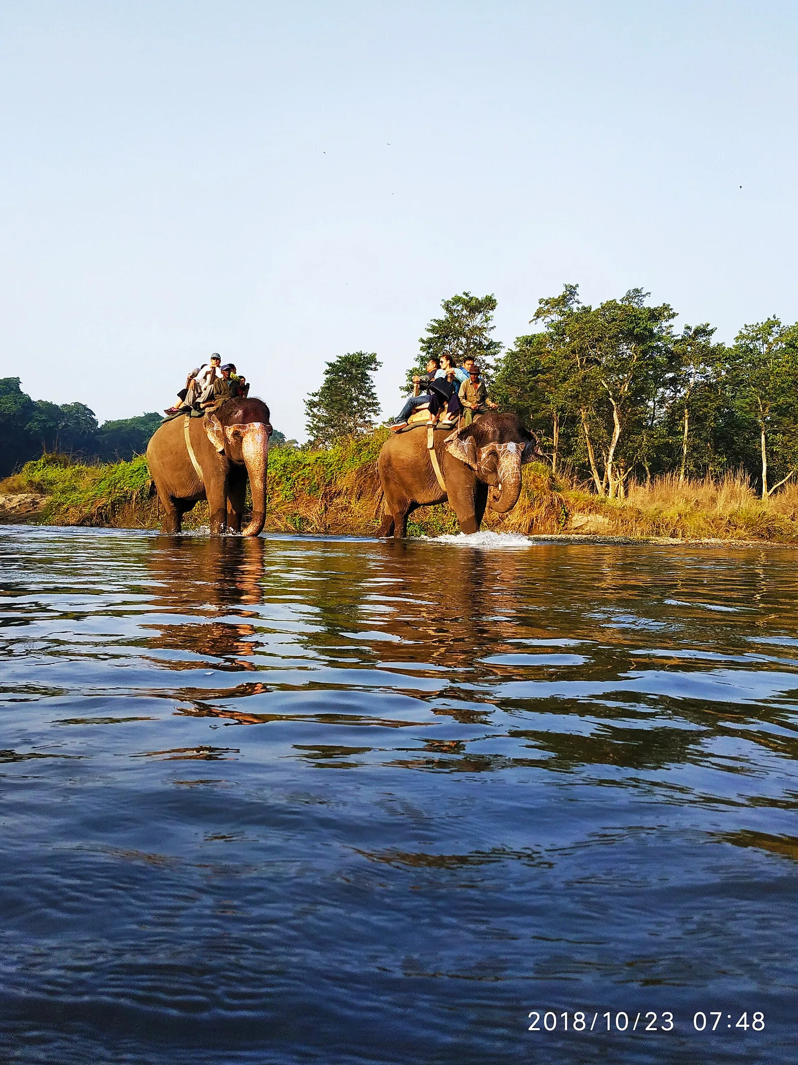 Nepal's Top Court Just Called Elephant Safari Rides 'Inherently Irresponsible' — Here's What Happens Now in Chitwan