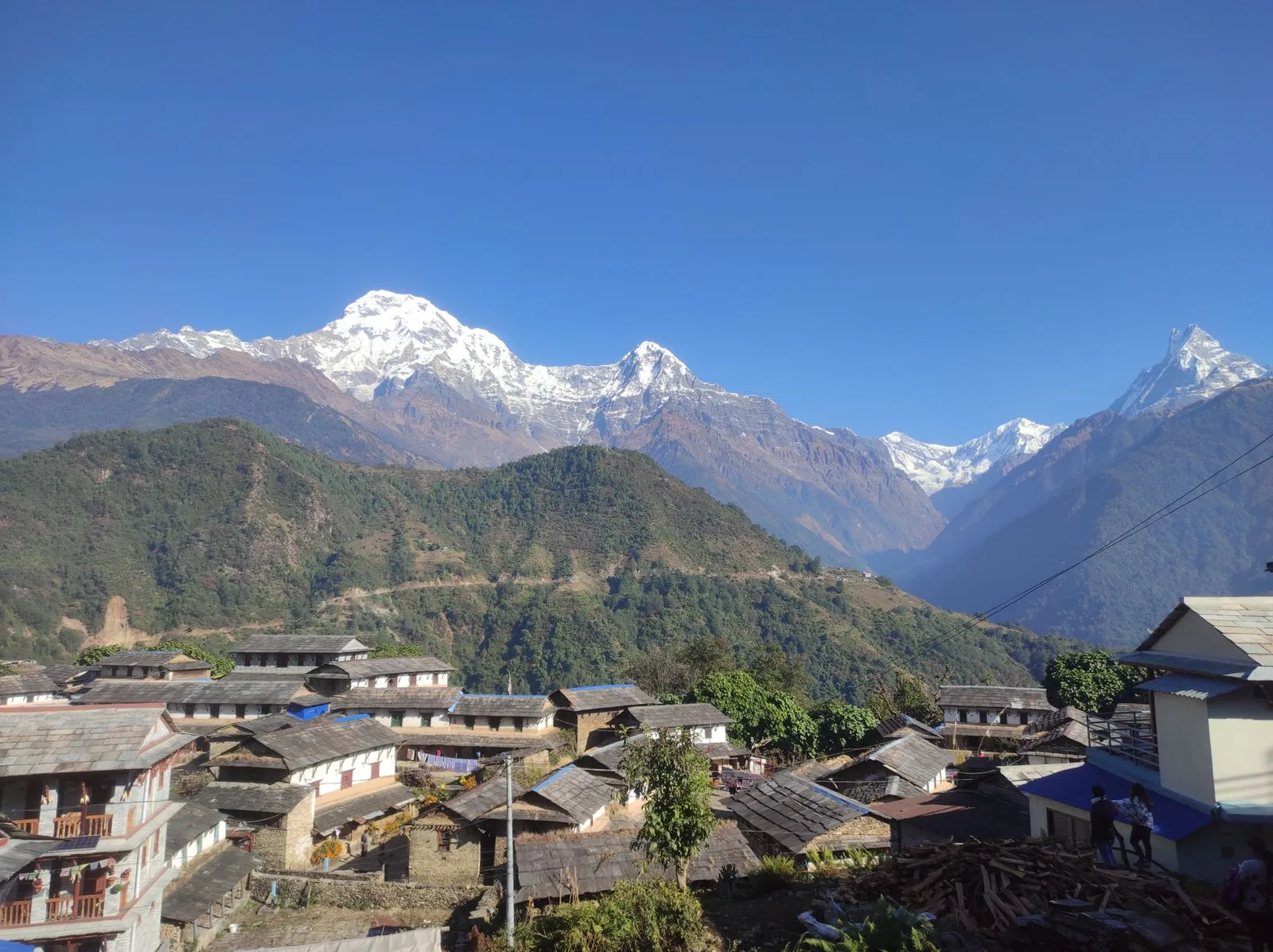 How Do You Actually Choose a Trekking Company in Nepal? The License, Insurance and Red-Flag Checklist for 2026