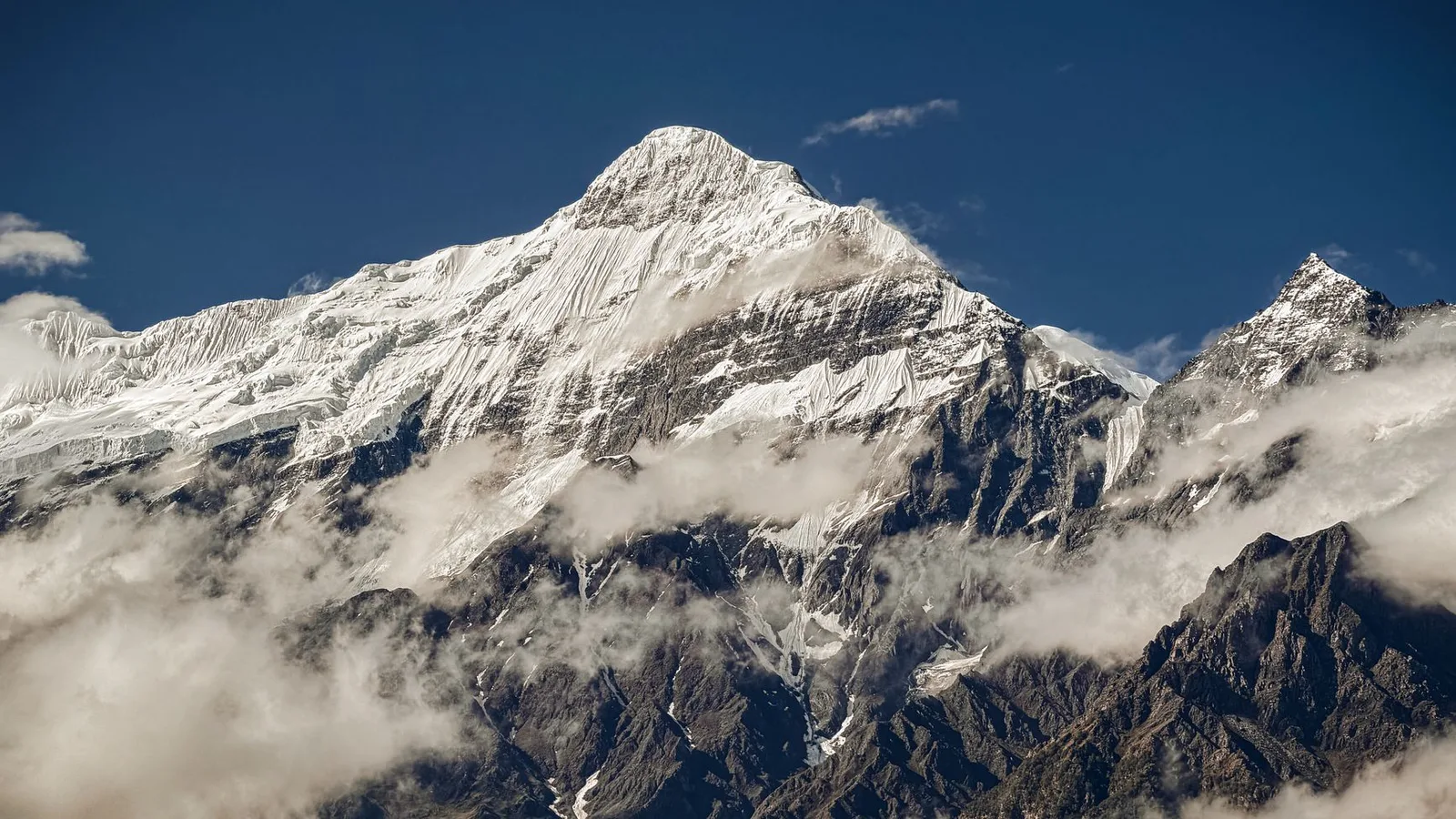 How to Choose a Trekking Company in Nepal in 2026: The Licence Chain That Actually Protects You