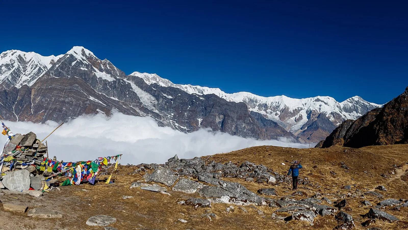 Machhapuchhre (Fishtail) and the Mardi Himal above the Mardi Himal trek in the Annapurna region, Nepal — reached from Pokhara via Kande and unaffected by the Rasuwa flood