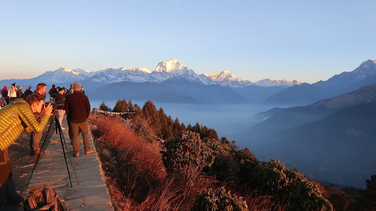Sunrise over the Annapurna and Dhaulagiri ranges from Poon Hill above Ghorepani, Annapurna region, Nepal — reached from Pokhara and unaffected by the Rasuwa flood