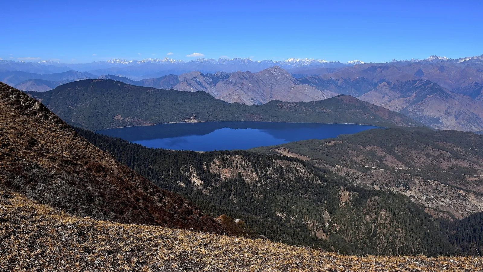 Rara Lake, Nepal’s largest lake (2,990 m), ringed by blue-pine forest and hills in Rara National Park, Mugu district, far-western Karnali — hundreds of km from the flood-hit Rasuwa corridor and unaffected by the 2026 floods