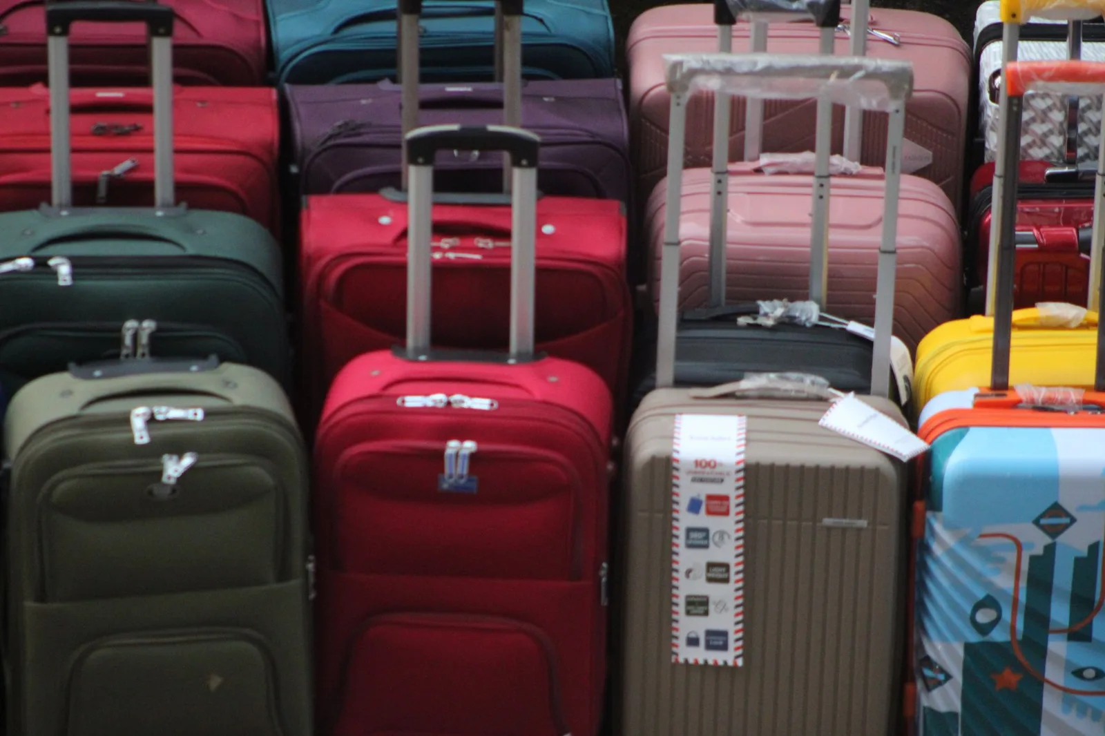 A row of hard-shell and soft-sided suitcases and travel bags lined up together, showing the different luggage types a traveller chooses between
