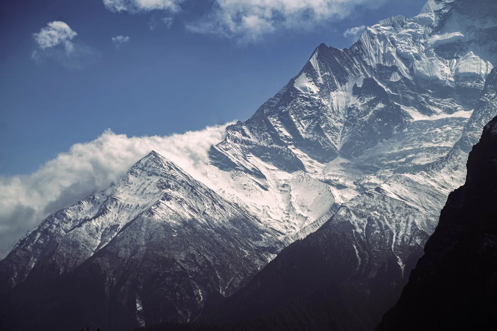Do You Need a Guide to Trek in Nepal in 2026? The Rule, the Cost, and the Region That Still Disputes It
