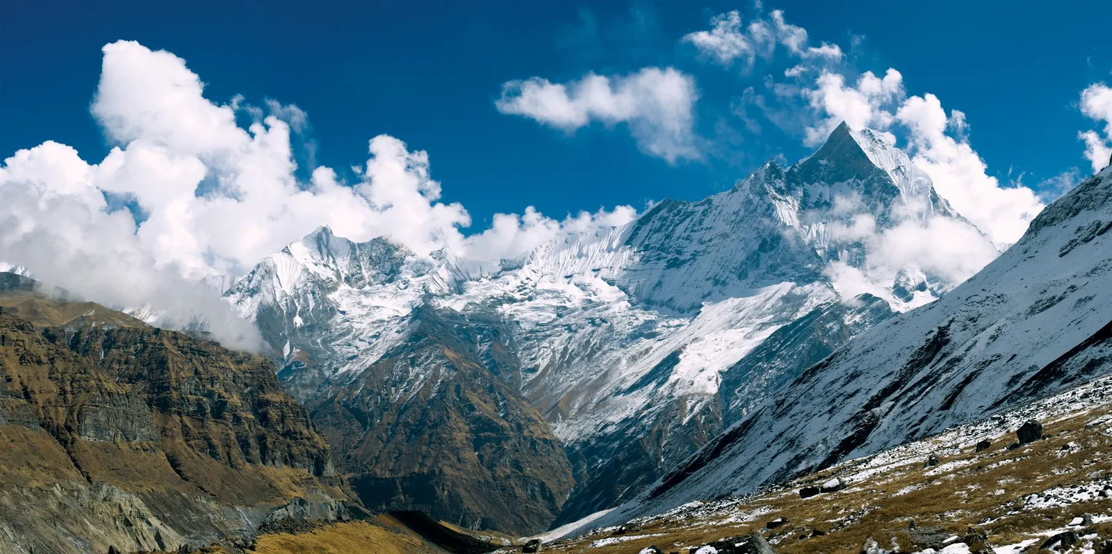 Nepal vs Ladakh, India: Which Himalayan Trek Should You Do in 2026?