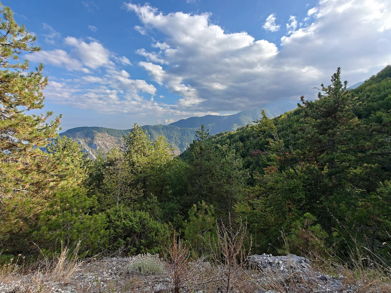 The wider area of Mount Olympus, Greece — one of 25 sites added to the UNESCO World Heritage List at the 2026 session