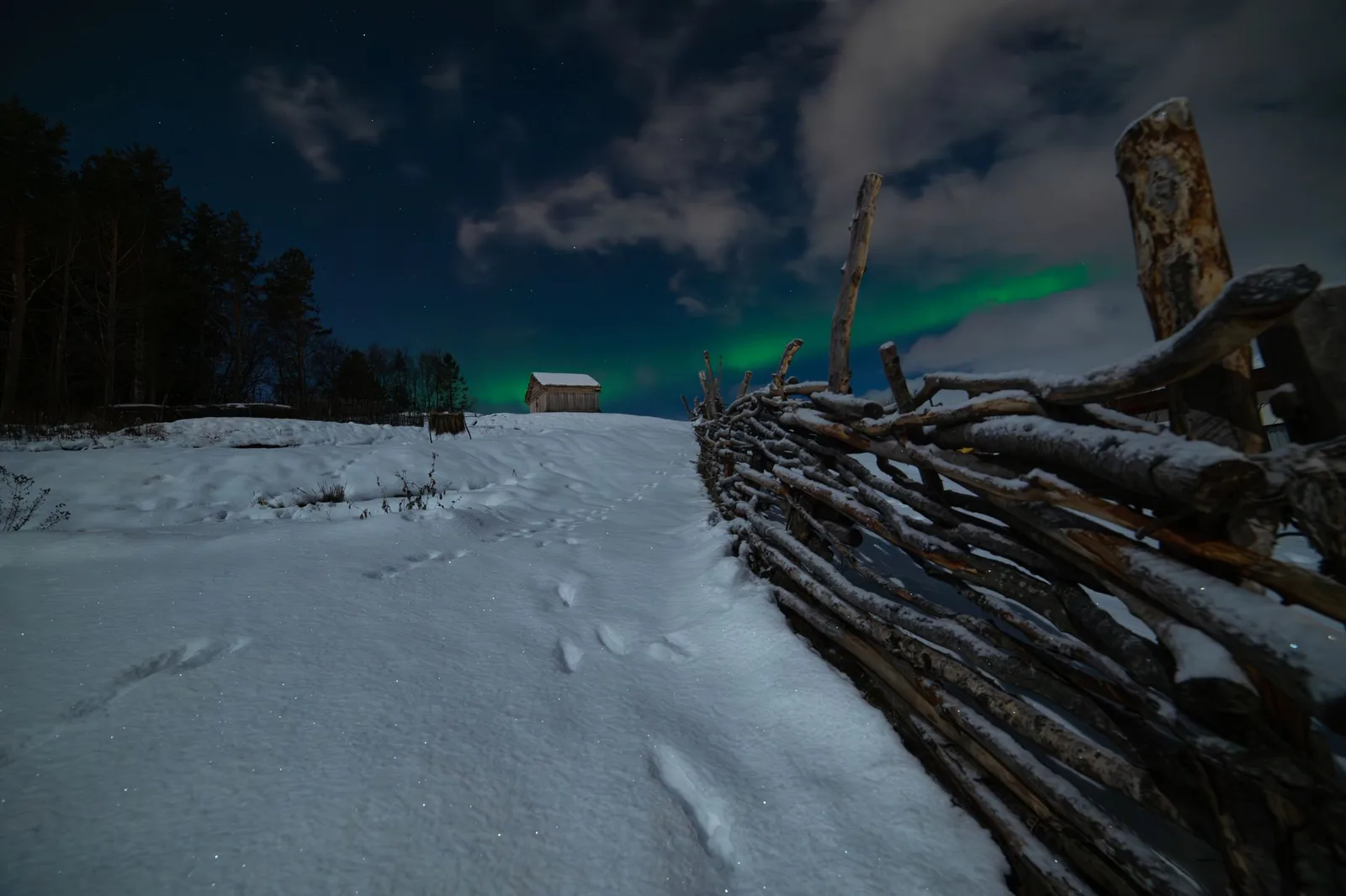 The green aurora borealis (northern lights) glowing over a snowy Arctic landscape on a clear, dark winter night