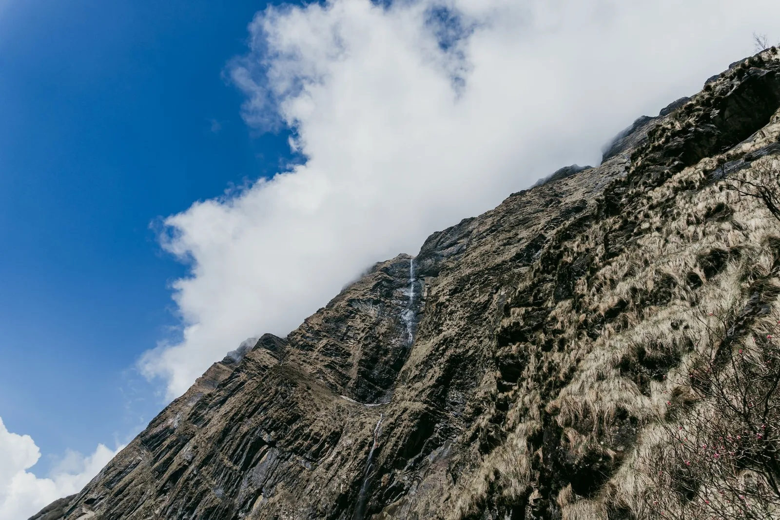Planning a Nepal Trek From the UK in 2026: Real Flights, Costs in Pounds and a 15-Day Everest Itinerary
