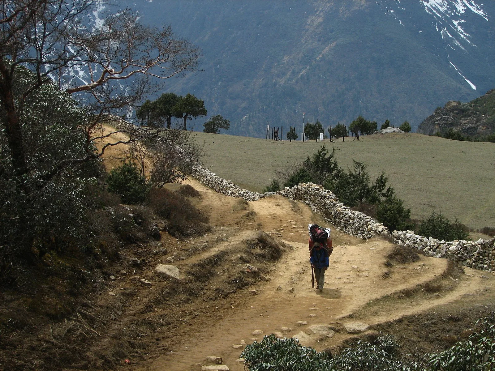 A porter on a trekking trail in the Nepal Himalaya