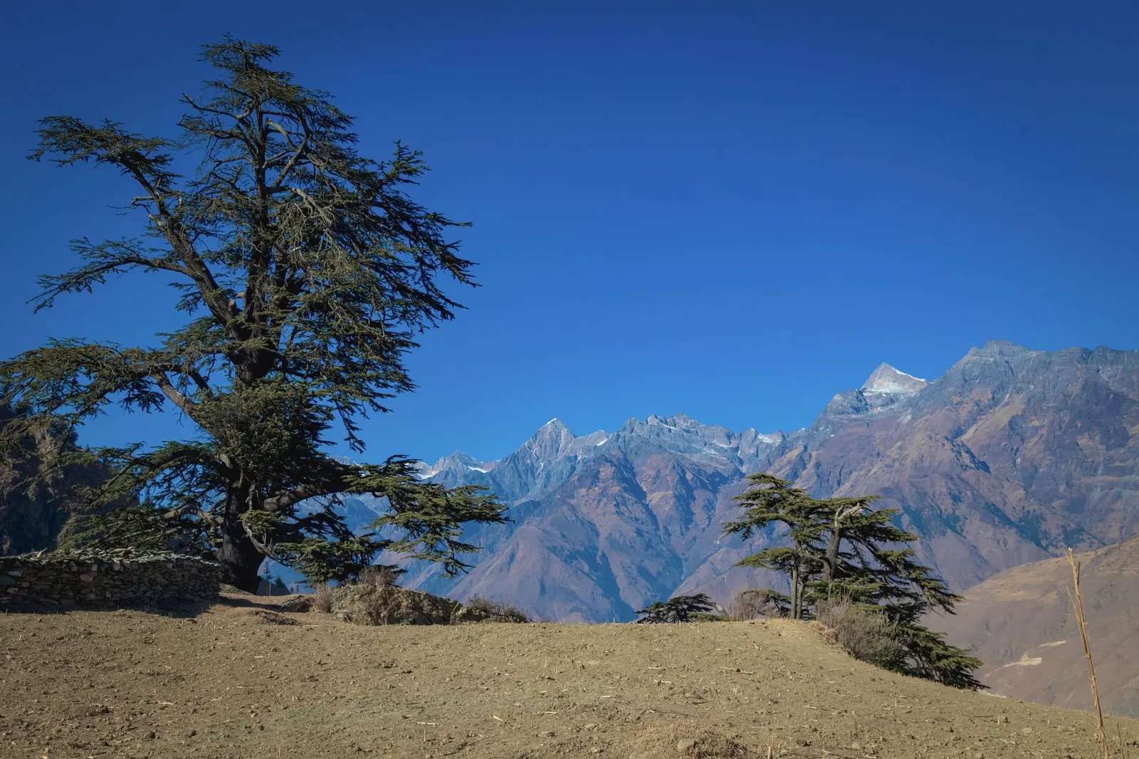 Everest Is Only Part of the Story: Inside the World's Highest National Park