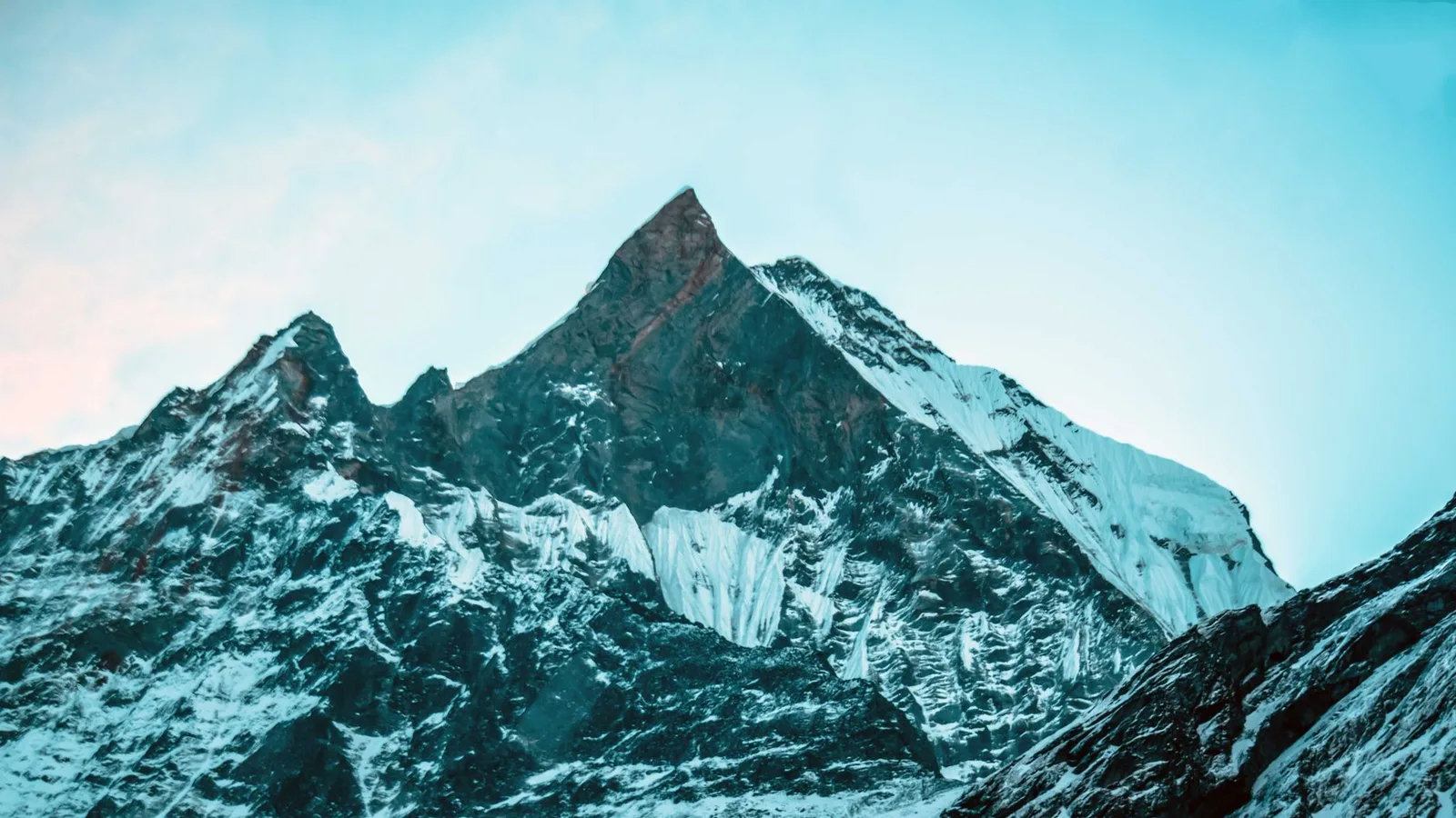 There Are 450-Million-Year-Old Seashells Near the Top of Mount Everest — Because It Used to Be Seafloor