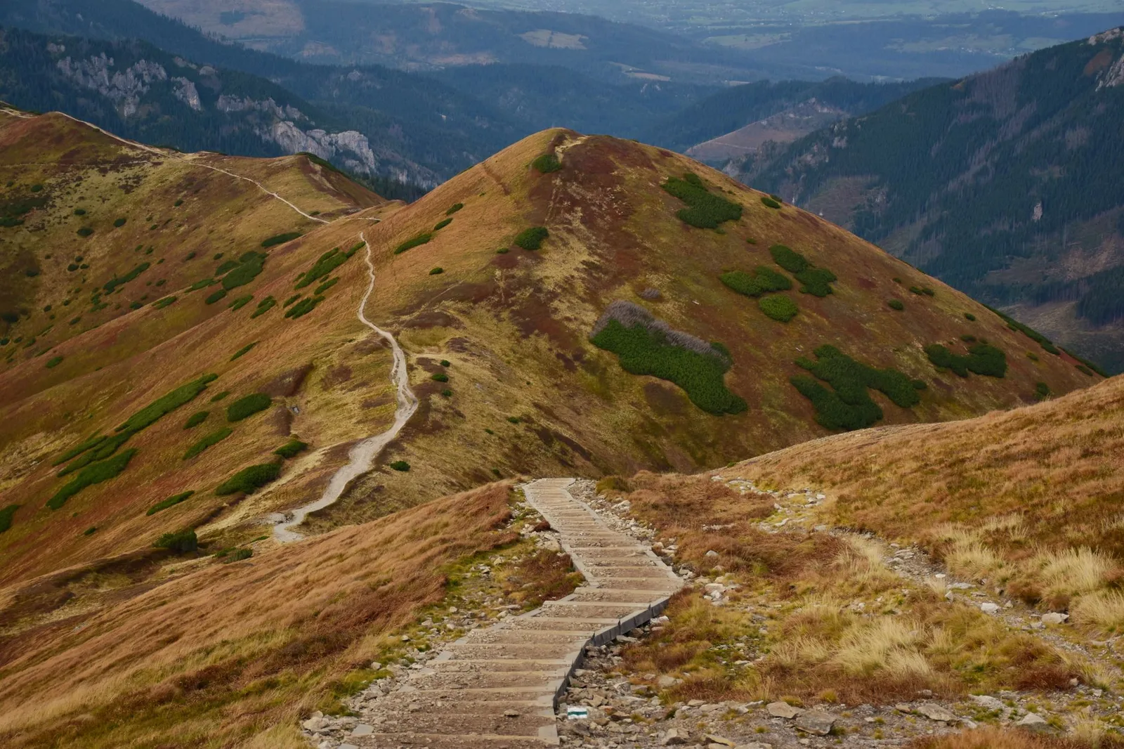 A quiet mountain trail winding through golden autumn larch forest — travelling in the shoulder season