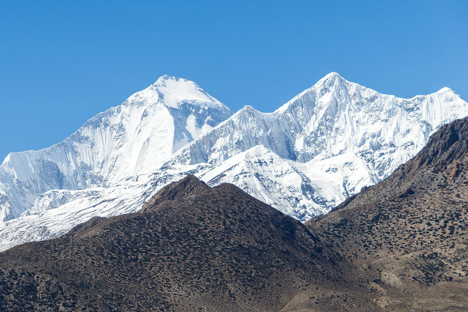 道拉吉里环线徒步 — 18天 — photo 3