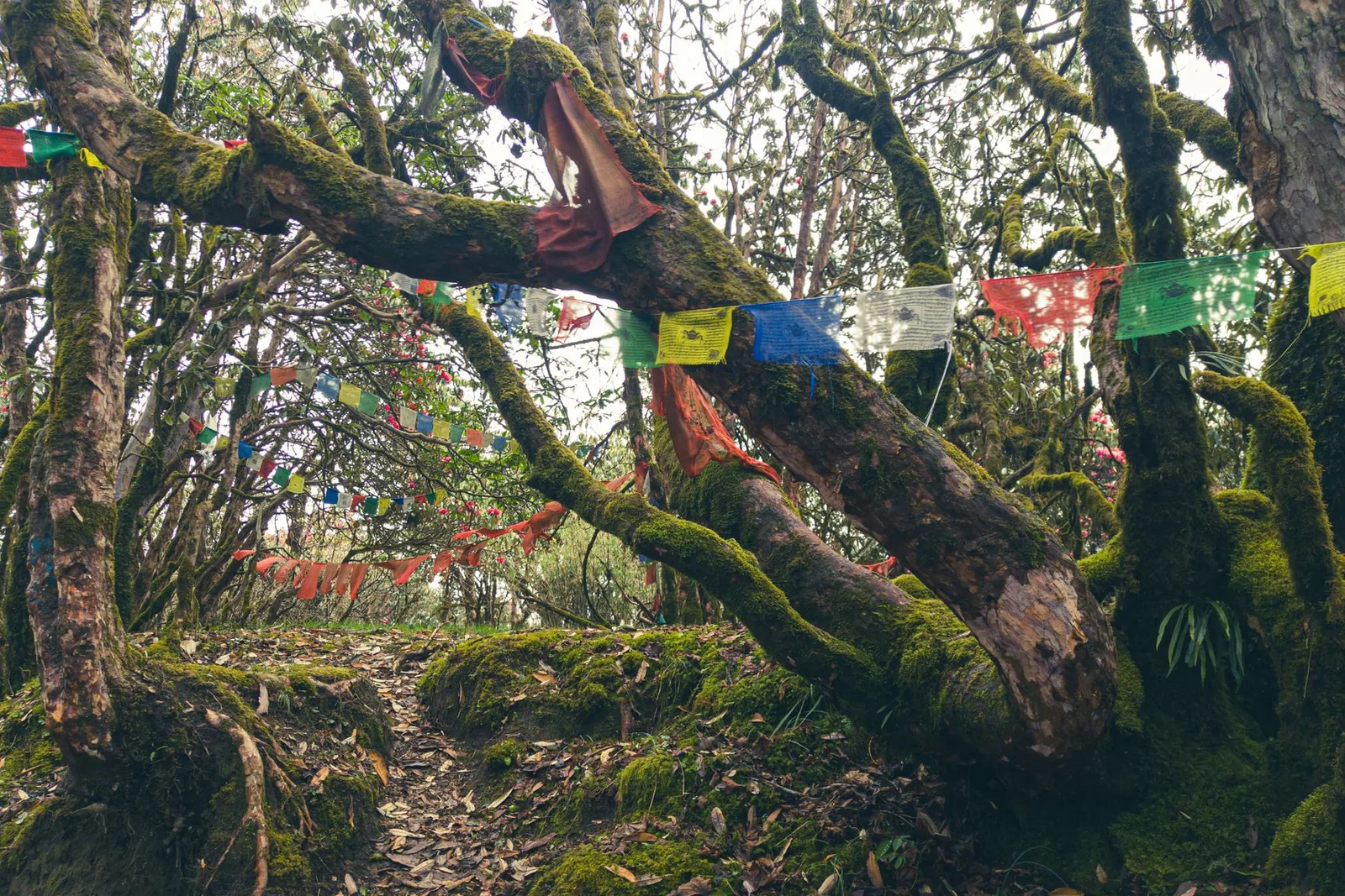 卡普塔德国家公园徒步——8天 — photo 4