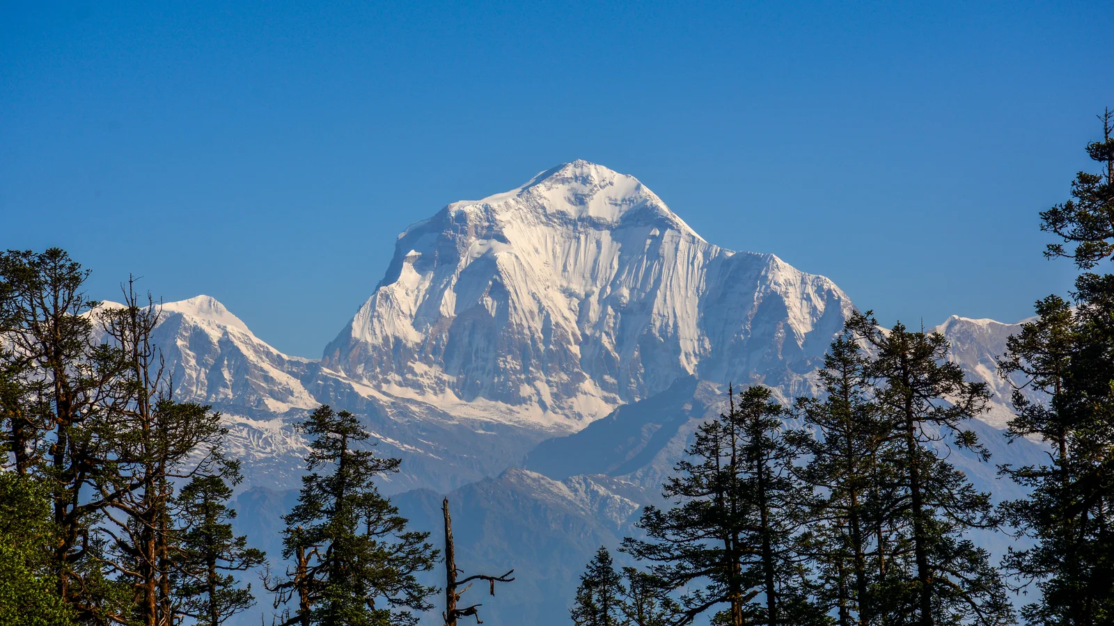 Dhaulagiri Peak