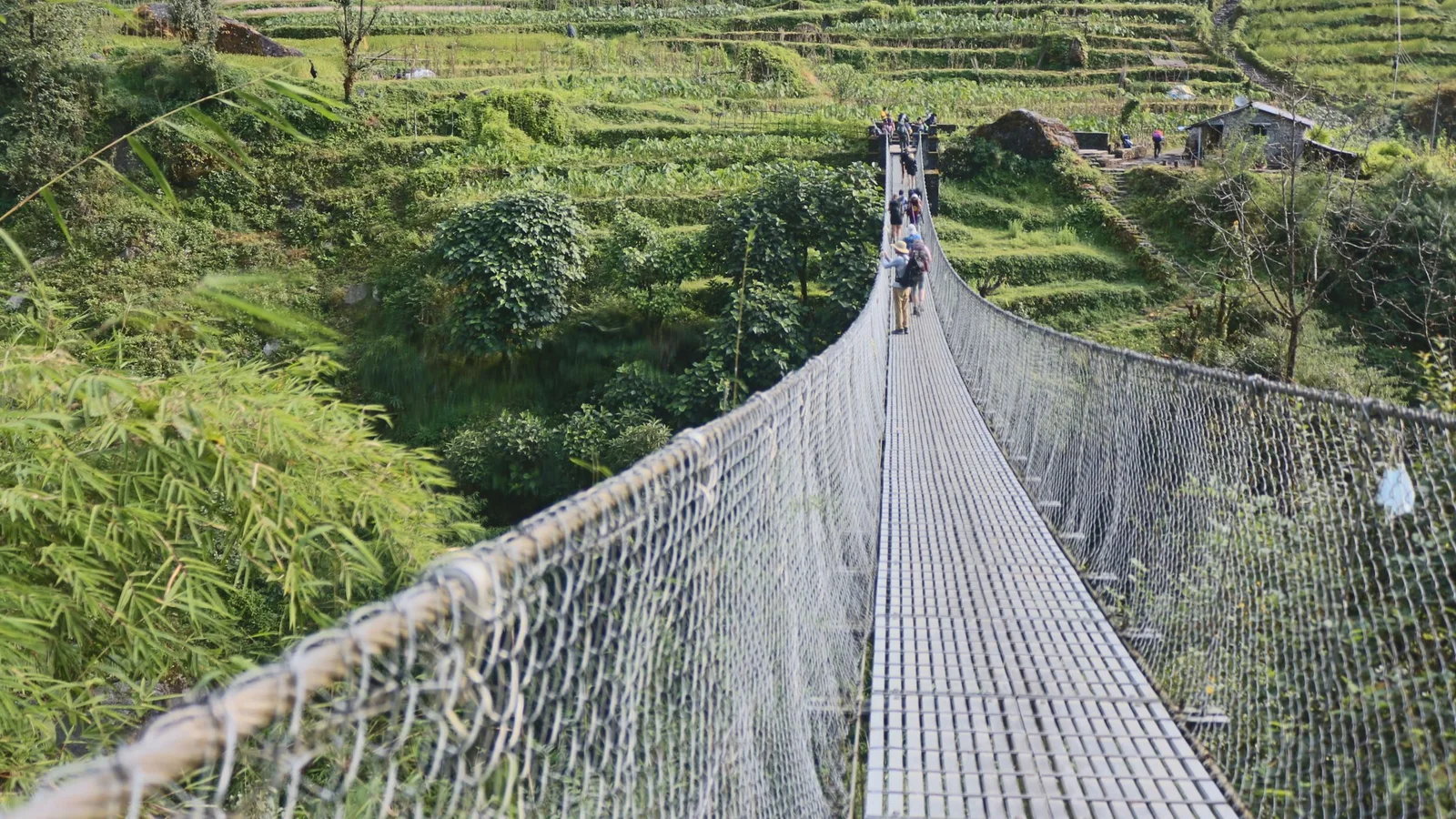 Travelers trek across a suspension bridge amid lush green terraces in Nepal.
