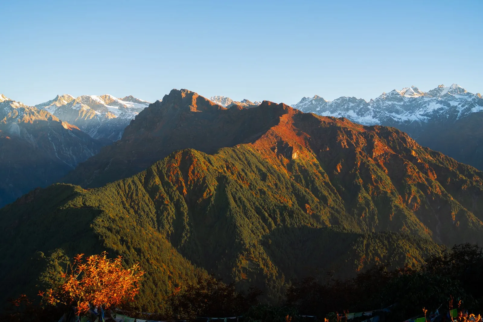 纳加阔特日出与喜马拉雅观景 — 1 天 — photo 6
