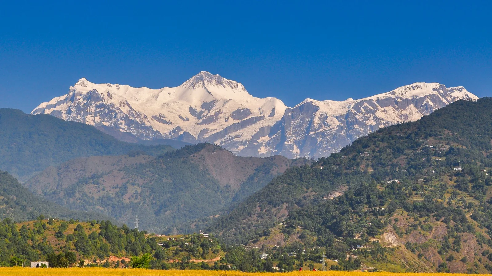 Breathtaking view of the snow-capped Annapurna mountain range overlooking golden fields in Pokhara, Nepal.
