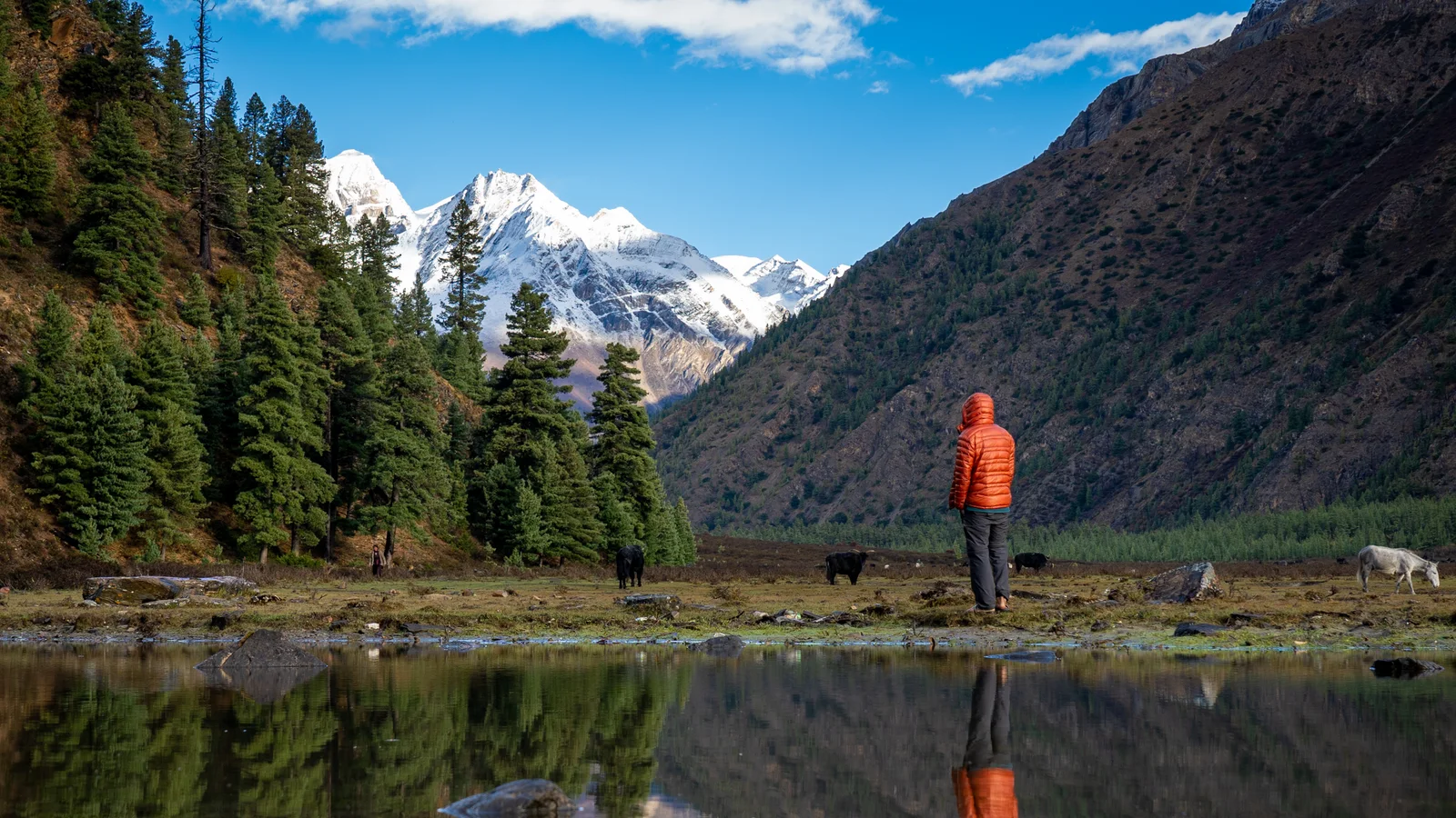 Phoksundo reflection