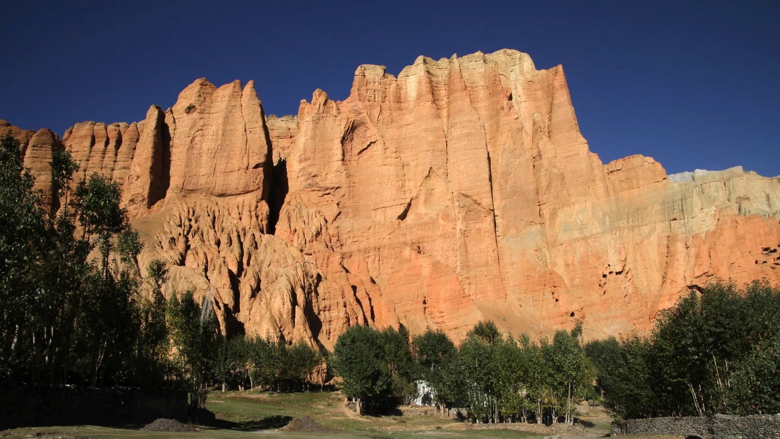 Mustang-Dhakmar-16-rote Wand-2015-gje